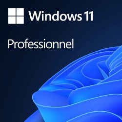 Microsoft Windows 11 Professionnel (Téléchargement numérique)