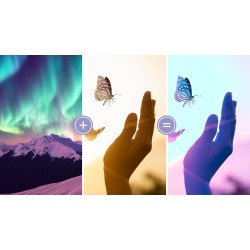 Adobe Photoshop Elements & Premiere Elements 2024