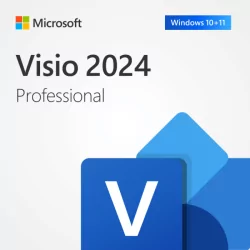 Microsoft Visio 2024 Professional | 1 PC | Téléchargement Numérique